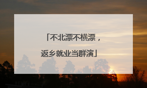 不北漂不横漂，返乡就业当群演