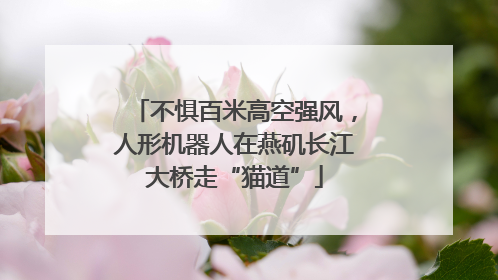 不惧百米高空强风，人形机器人在燕矶长江大桥走“猫道”
