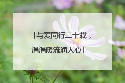 与爱同行二十载，涓涓暖流润人心