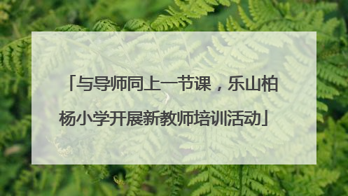 与导师同上一节课，乐山柏杨小学开展新教师培训活动