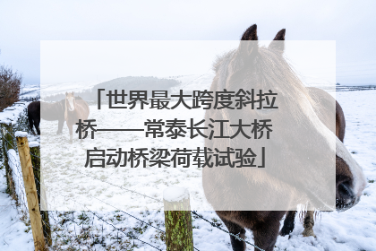 世界最大跨度斜拉桥——常泰长江大桥启动桥梁荷载试验