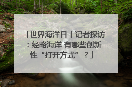 世界海洋日丨记者探访：经略海洋 有哪些创新性“打开方式”？