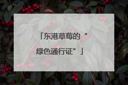 东港草莓的“绿色通行证”