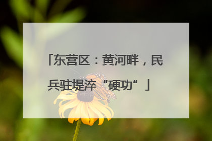 东营区：黄河畔，民兵驻堤淬“硬功”