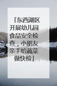 东西湖区开展幼儿园食品安全检查，小朋友亲手给蔬菜做快检
