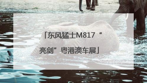 东风猛士M817“亮剑”粤港澳车展