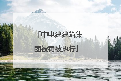 中电建建筑集团被罚被执行