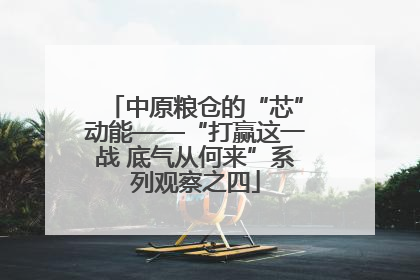 中原粮仓的“芯”动能——“打赢这一战 底气从何来”系列观察之四
