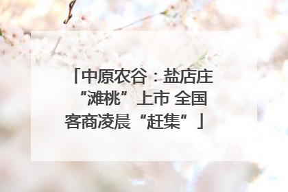 中原农谷：盐店庄“滩桃”上市 全国客商凌晨“赶集”