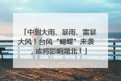 中到大雨、暴雨、雷暴大风！台风“蝴蝶”来袭，或将影响湖北！
