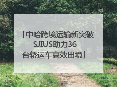 中哈跨境运输新突破 SJIUS助力36台轿运车高效出境