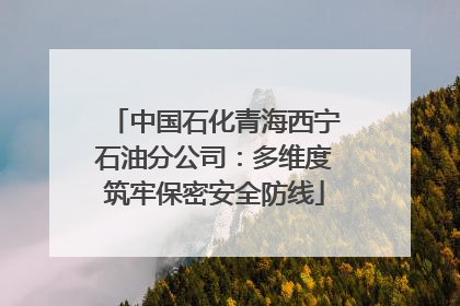中国石化青海西宁石油分公司：多维度筑牢保密安全防线