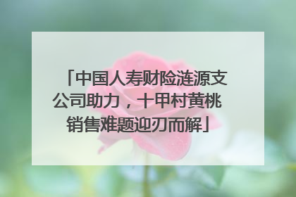中国人寿财险涟源支公司助力，十甲村黄桃销售难题迎刃而解