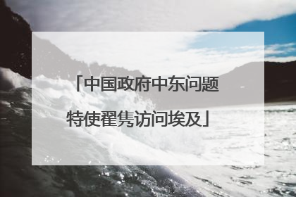 中国政府中东问题特使翟隽访问埃及