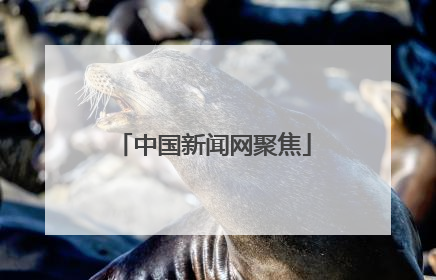中国新闻网聚焦