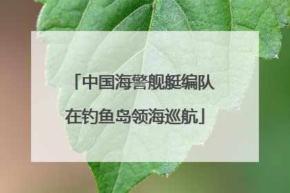 中国海警舰艇编队在钓鱼岛领海巡航