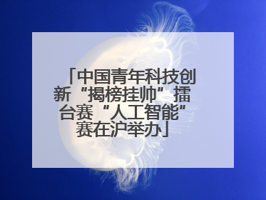 中国青年科技创新“揭榜挂帅”擂台赛“人工智能”赛在沪举办