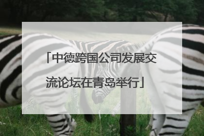 中德跨国公司发展交流论坛在青岛举行