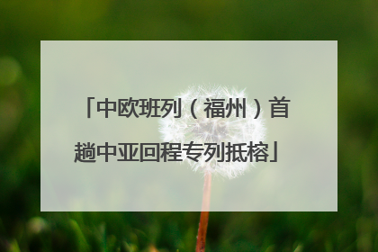 中欧班列（福州）首趟中亚回程专列抵榕