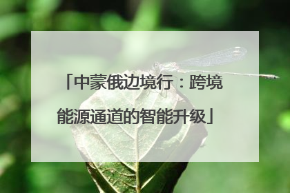 中蒙俄边境行：跨境能源通道的智能升级