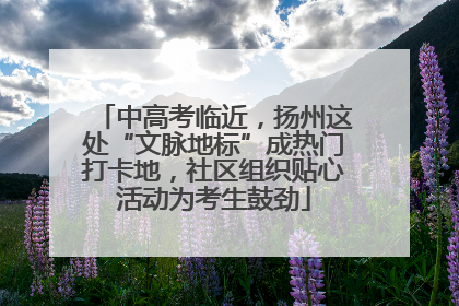 中高考临近，扬州这处“文脉地标”成热门打卡地，社区组织贴心活动为考生鼓劲
