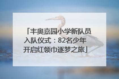 丰奥嘉园小学新队员入队仪式：82名少年开启红领巾逐梦之旅
