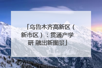 乌鲁木齐高新区（新市区）：贯通产学研 融出新图景