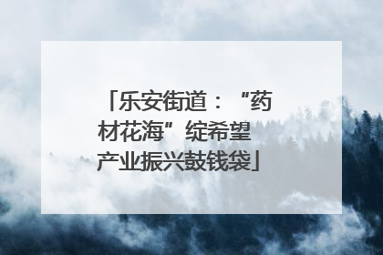 乐安街道：“药材花海”绽希望 产业振兴鼓钱袋