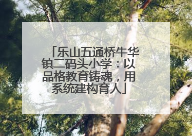 乐山五通桥牛华镇二码头小学：以品格教育铸魂，用系统建构育人