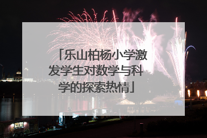 乐山柏杨小学激发学生对数学与科学的探索热情
