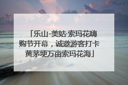 乐山-美姑·索玛花嗨购节开幕，诚邀游客打卡黄茅埂万亩索玛花海
