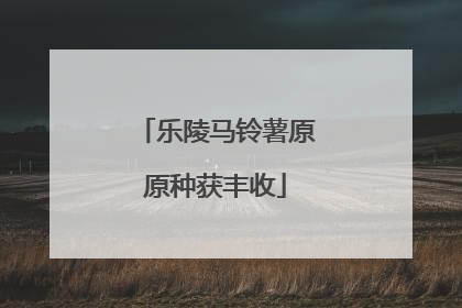 乐陵马铃薯原原种获丰收