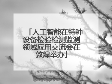 人工智能在特种设备检验检测监测领域应用交流会在敦煌举办