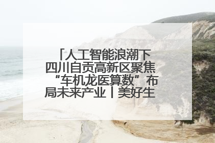 人工智能浪潮下 四川自贡高新区聚焦“车机龙医算数”布局未来产业丨美好生活有“盐”味
