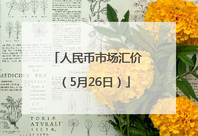 人民币市场汇价（5月26日）