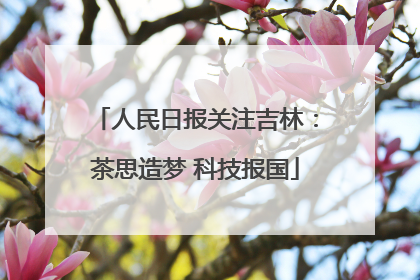 人民日报关注吉林：茶思造梦 科技报国