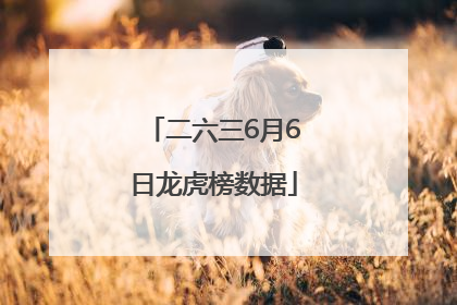 二六三6月6日龙虎榜数据