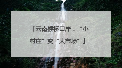 云南猴桥口岸：“小村庄”变“大市场”