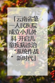 云南省第一人民医院成立小儿外科 开启儿童疾病诊治“系统作战”新时代
