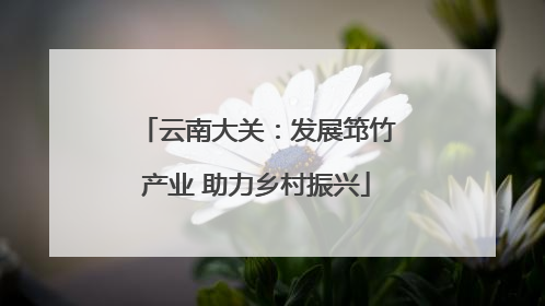 云南大关：发展筇竹产业 助力乡村振兴