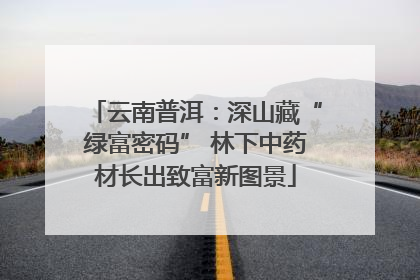 云南普洱：深山藏“绿富密码” 林下中药材长出致富新图景
