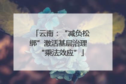云南：“减负松绑”激活基层治理“乘法效应”