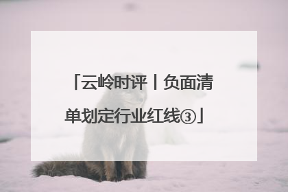 云岭时评丨负面清单划定行业红线③