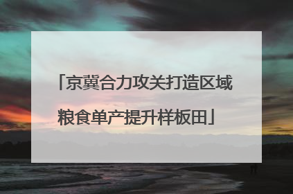 京冀合力攻关打造区域粮食单产提升样板田