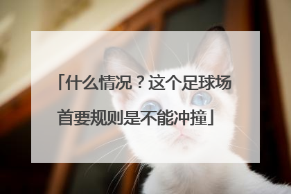 什么情况？这个足球场首要规则是不能冲撞