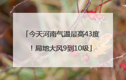 今天河南气温最高43度！局地大风9到10级