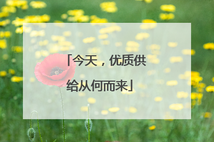 今天，优质供给从何而来