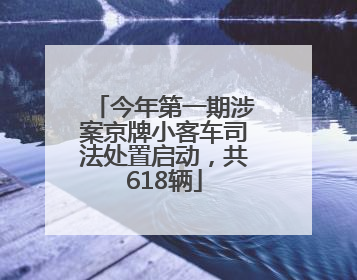 今年第一期涉案京牌小客车司法处置启动，共618辆