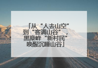 从“人去山空”到“客满山谷”，黑麋峰“新村民”唤醒沉睡山谷