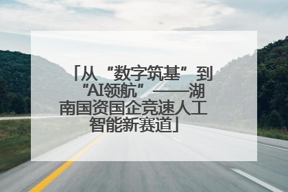 从“数字筑基”到“AI领航”——湖南国资国企竞速人工智能新赛道